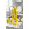 Dish Wash Liquid Classic Lemon 1L