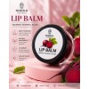 Lip Balm Beetroot – 7 Gm Naturals 