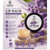 Lip Balm White – 7 Gm Naturals 
