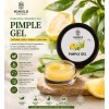 Pimple Gel – 15 gm Naturals 